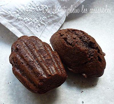 Madeleines au chocolat et au miel d'après Christophe Felder P1000642.JPG