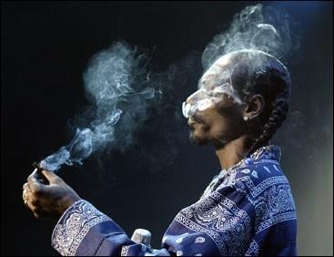 Snoop Dog sort un livre qui se fume !