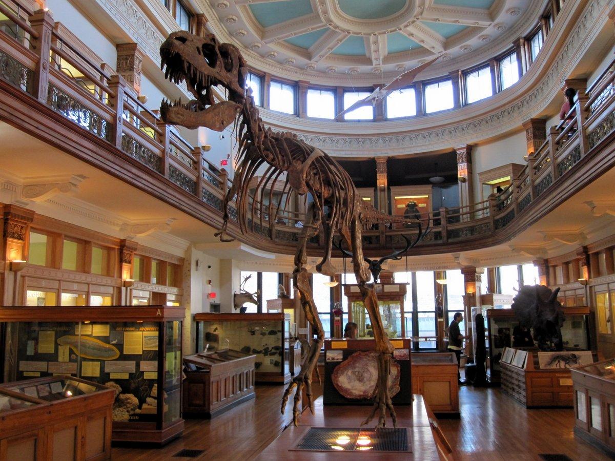 Musée Redpath À Voir