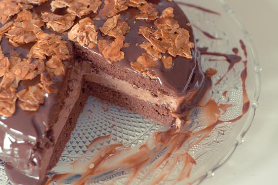 Gâteaux au chocolat 100% régressif