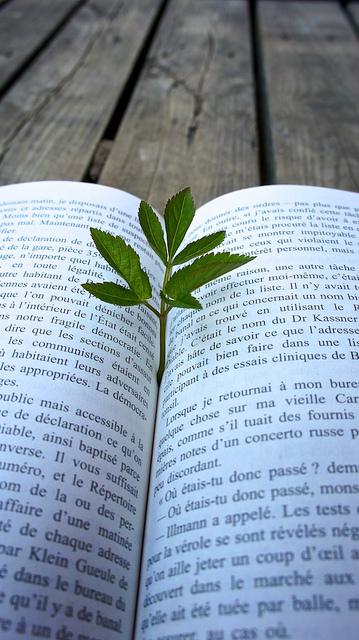 Un lundi parmi tant d'autres #75 anteketborka.blogspot.com, livre8