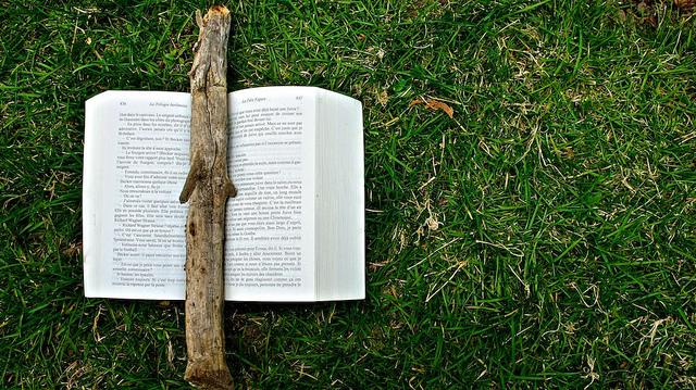 Un lundi parmi tant d'autres #75 anteketborka.blogspot.com, livre16