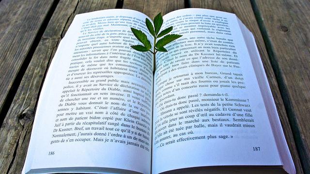 Un lundi parmi tant d'autres #75 anteketborka.blogspot.com, livre7