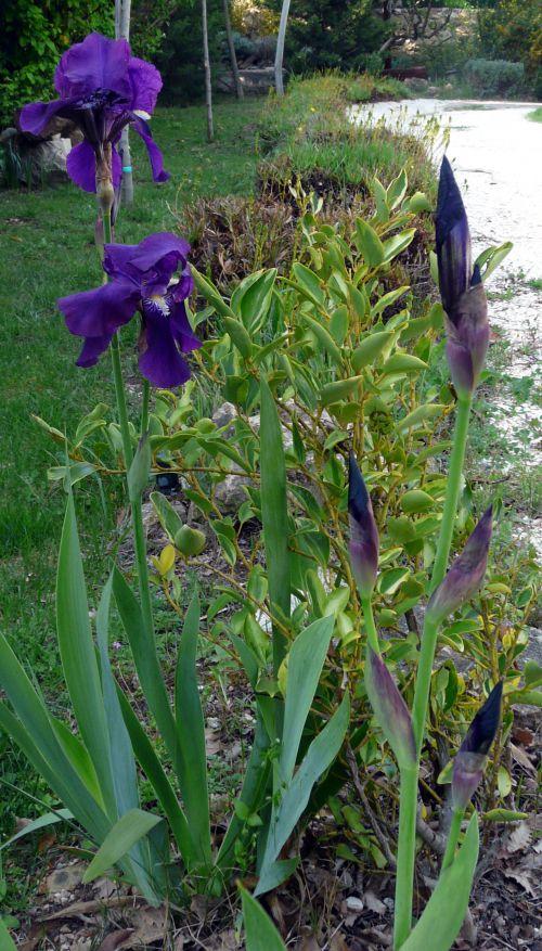 Deux millions de visites ! Deux millions de visites !