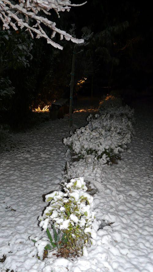 Début de printemps ! Journaux des 24 février et 3 mars 2012 Début de printemps ! Journaux des 24 février et 3 mars 2012