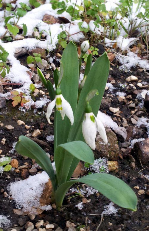 Nos photos de février 2012 : un mois coloré bien que placé sous le signe de la neige ! Nos photos de février 2012 : un mois coloré bien que placé sous le signe de la neige !