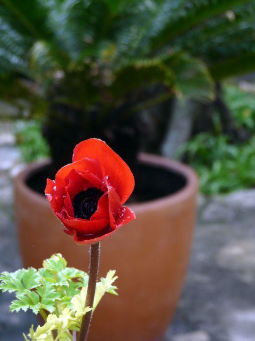 Nos photos de février 2012 : un mois coloré bien que placé sous le signe de la neige ! Nos photos de février 2012 : un mois coloré bien que placé sous le signe de la neige !