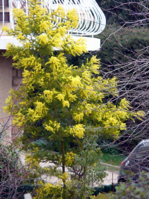 Nos photos de février 2012 : un mois coloré bien que placé sous le signe de la neige ! Nos photos de février 2012 : un mois coloré bien que placé sous le signe de la neige !