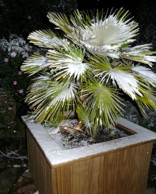 Nos photos de février 2012 : un mois coloré bien que placé sous le signe de la neige ! Nos photos de février 2012 : un mois coloré bien que placé sous le signe de la neige !