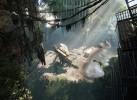 Crysis 3 annoncé : La grande surprise du mois ! Crysis3_Multi_Editeur_001