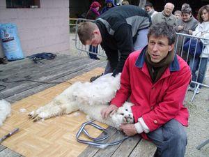Un dimanche à la campagne à la ferme d'Assenay IMG_1336