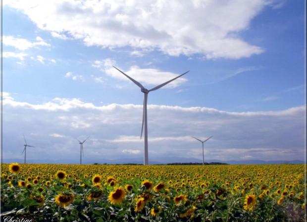 eolienne eolienne