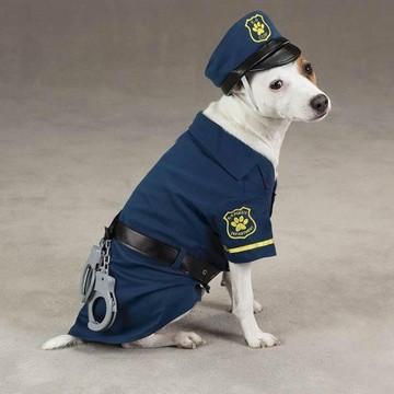 Invasion canine et policière