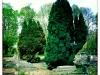img_2737 img_2737