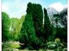 img_2735 img_2735