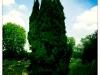img_2739 img_2739