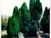 img_2723 img_2723