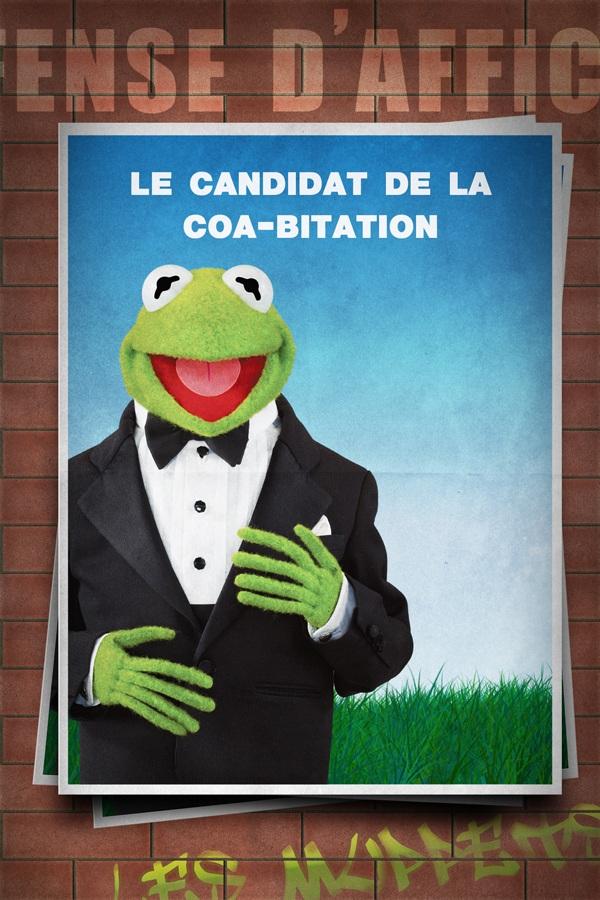Les Muppets à l’honneur: DVD, élections, cahier d’activités… que du bonheur