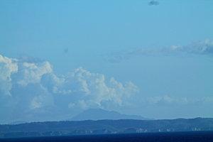 les baleines baleine-2785.JPG