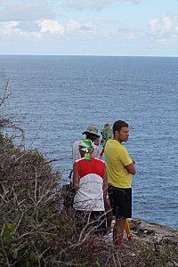 les baleines baleine-2865.JPG