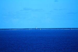 les baleines baleine 2801