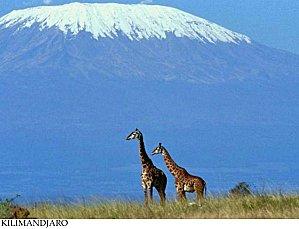 Kilimandjaro.jpg