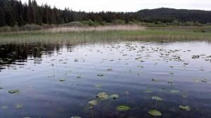 lac LA LEGENDE DE LA SORCIERE DE REMORAY