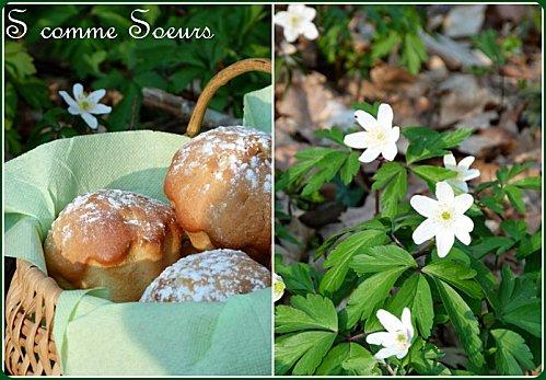Gâteau sarde à la ricotta et au citron S comme Soeurs167