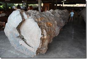 Thailande2011_0182 Thailande2011_0182