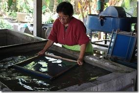 Thailande2011_0209 Thailande2011_0209