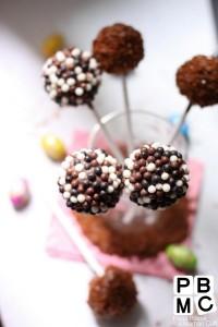 Cakes Pops choco au salidou Cakes Pops choco au salidou