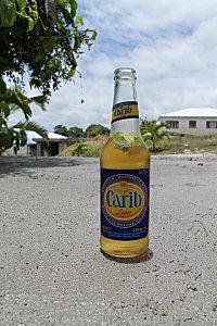 La dalle maison-delevaux-3023.JPG