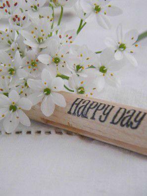 HAPPY ...
Chaque jour son lot de Petits BonHeurs .... DSCF8884