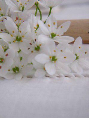 HAPPY ...
Chaque jour son lot de Petits BonHeurs .... DSCF8882