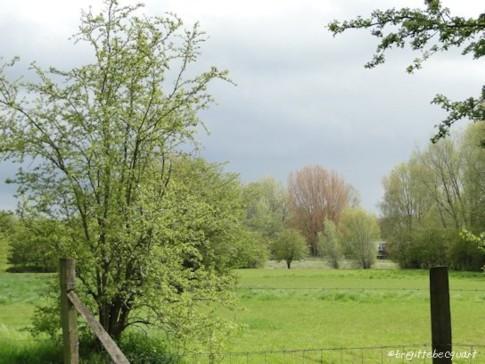 le Lac du Héron à Villeneuve d'Ascq. le Lac du Héron à Villeneuve d'Ascq.
