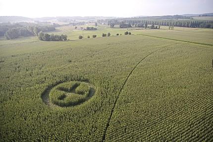 Les OGM, vous êtes pour ou contre ?