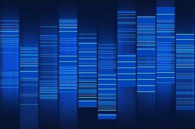 WEB2DNA Convert Website into DNA Art - Convertir Site Web et Blog en ADN