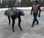 BigDog le robot a fait des progrès vidéo bigdog chien robot boston dynamics