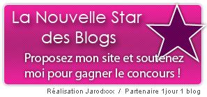 Nouvelle Star : Votez pour moi ! concours de la nouvelle star des blogs