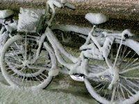 Jamais deux sans trois ! Tokyo est encore sous la neige !