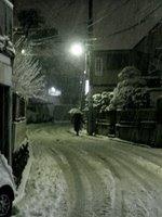 Jamais deux sans trois ! Tokyo est encore sous la neige !