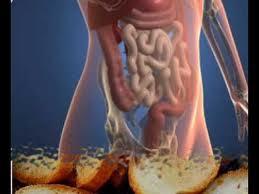 sans gluten Pour ceux qui doivent et ceux qui veulent manger sans gluten et bio !!!