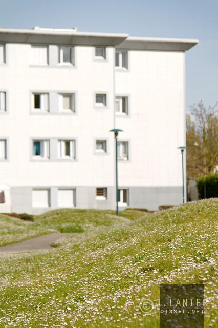 UNE PRAIRIE POUR LES OISEAUX UNE PRAIRIE POUR LES OISEAUX