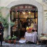 DSC03122 VIVA LA DOLCE VITA