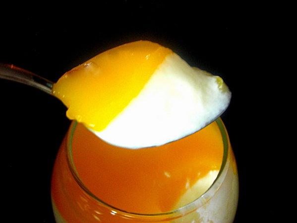 panna cotta a la mangue mango2.jpg