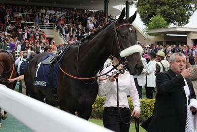 Shareta 2011 c3-b-Shareta