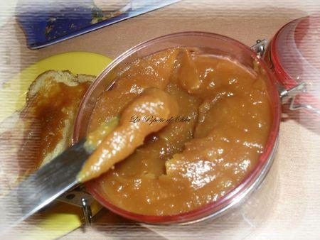 Caramel de pommes tatin SAM_1468