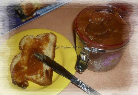 Caramel de pommes tatin SAM_1466