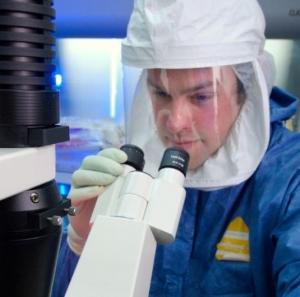 SUPERVIRUS H5N1: Les Pays-Bas autorisent la diffusion des travaux – Nature Blog