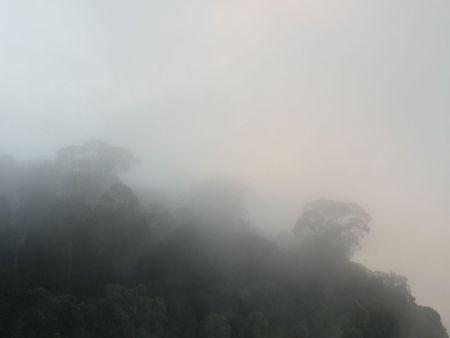 1Q84 / Livre 3 / 3 / Tengo ... route lac et Madurai 258